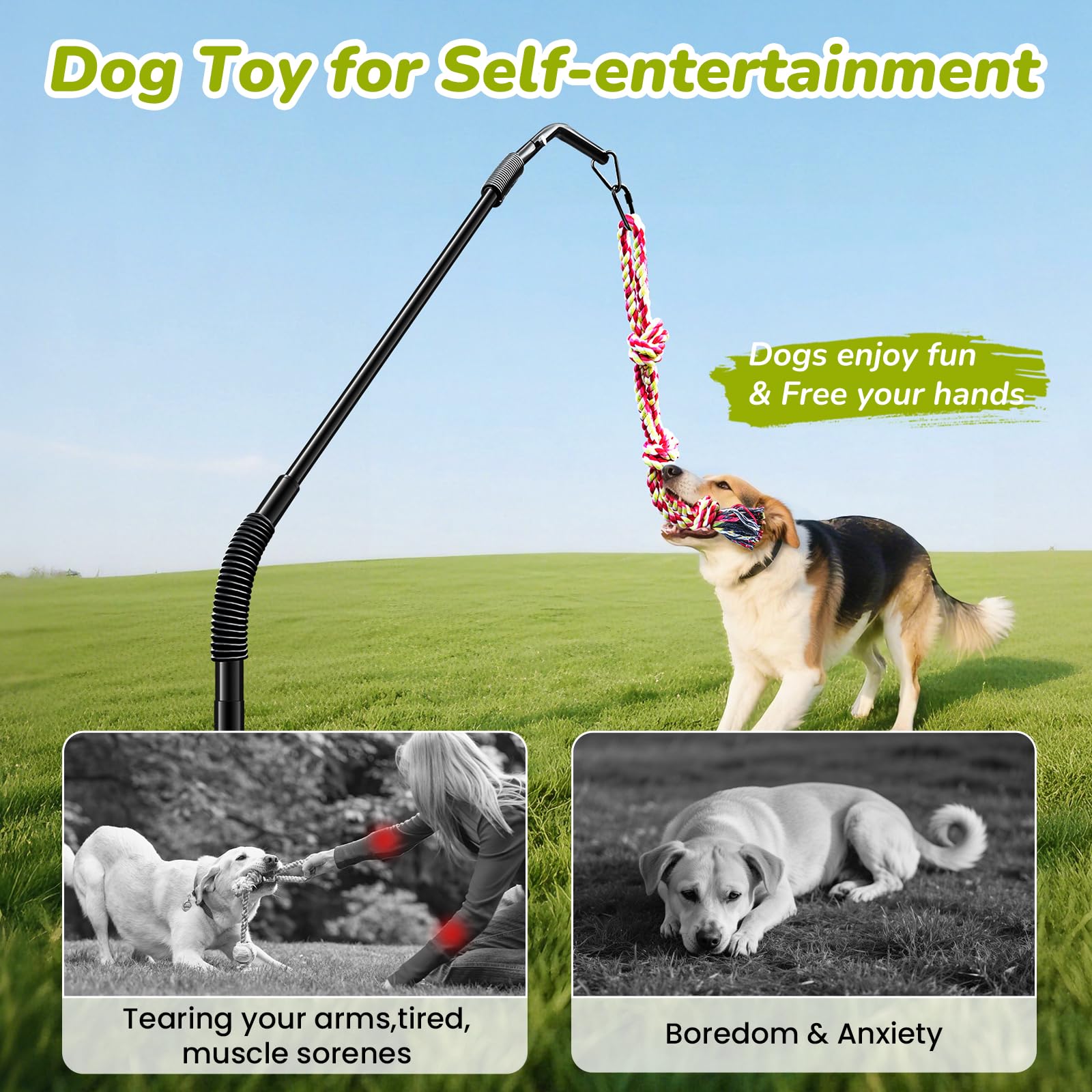 BUFOR solo play in yard keeps dogs mentally engaged and active