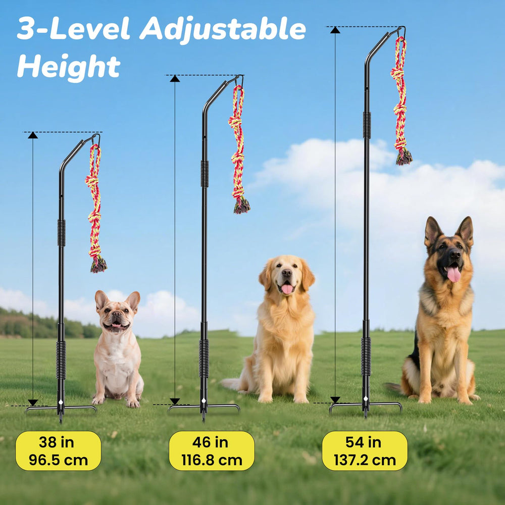BUFOR durable two spring poles provide stable, energetic exercise