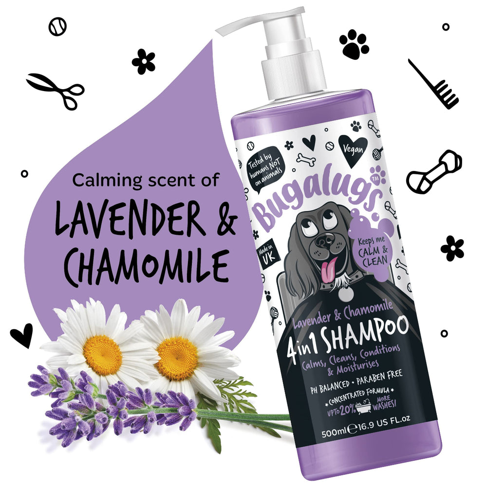 Bugalugs 4-in-1 dog shampoo creates a rich foamy lather.