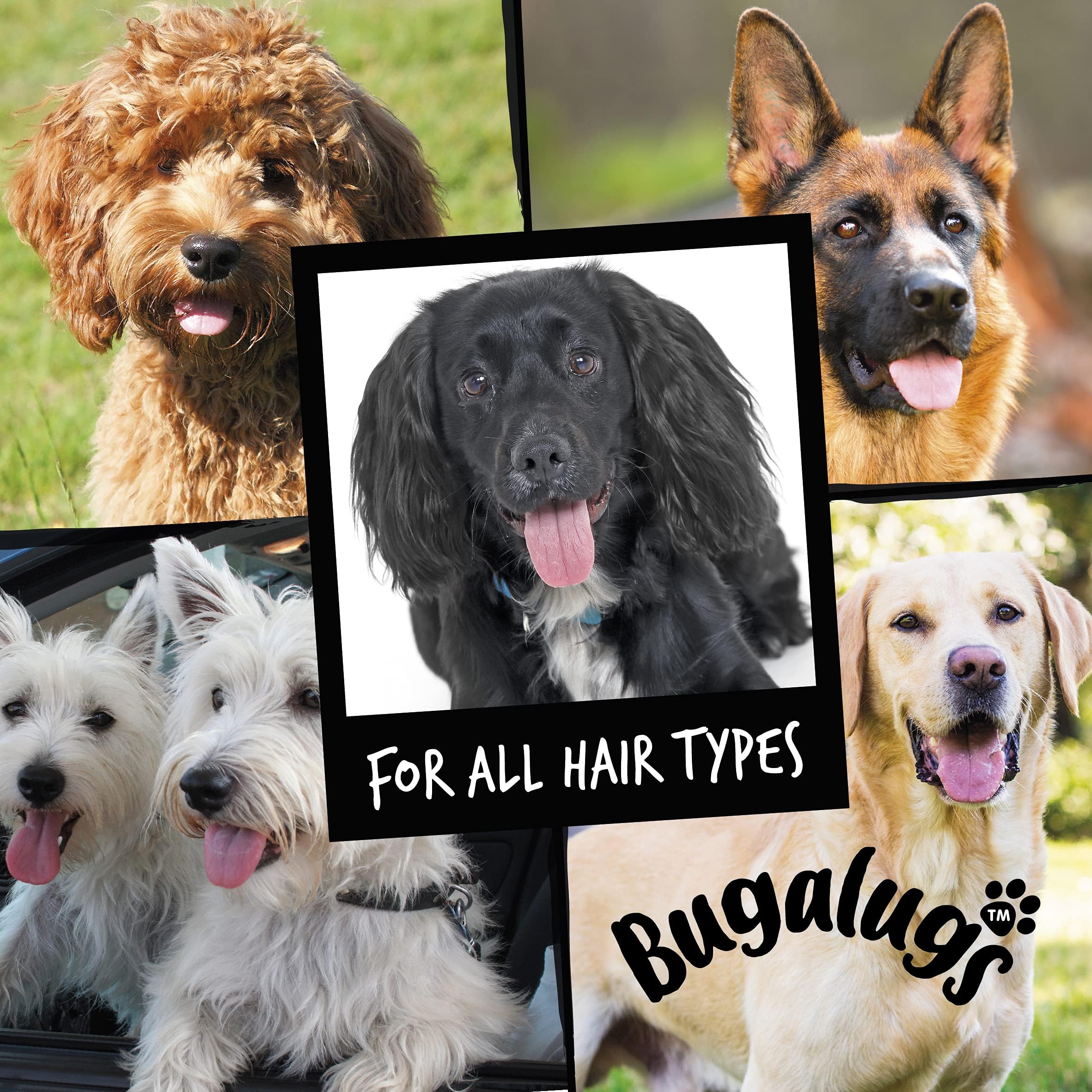 BUGALUGS ingredients highlight papaya extract, oats, and coconut oil for coat comfort.