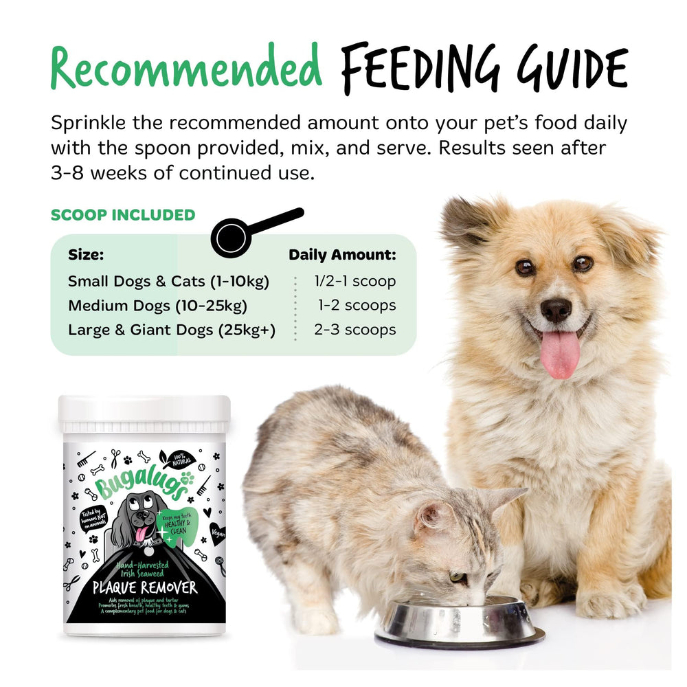 Powder dissolves on food for quick, mess-free use with BUGALUGS Plaque Remover.