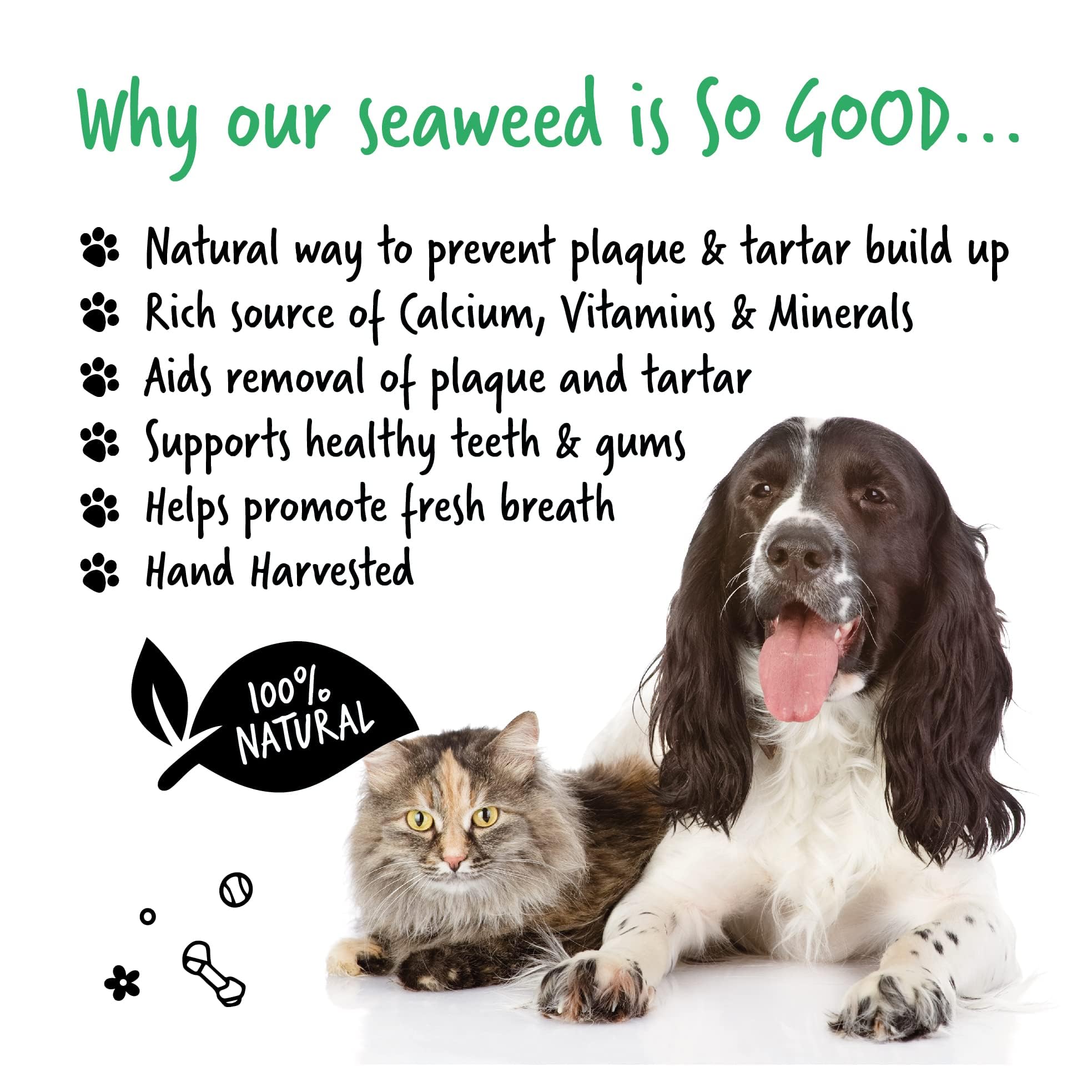 BUGALUGS Plaque Remover promotes fresher breath when added to meals.