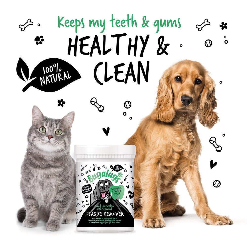 Natural Irish seaweed blend from BUGALUGS Plaque Remover supports oral hygiene.