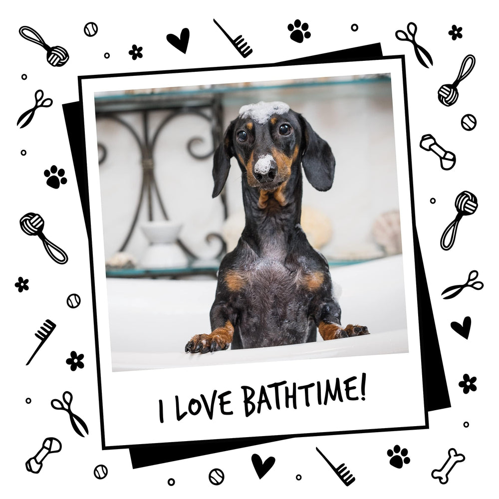 BUGALUGS puppy-friendly formula suitable for puppies over eight weeks.