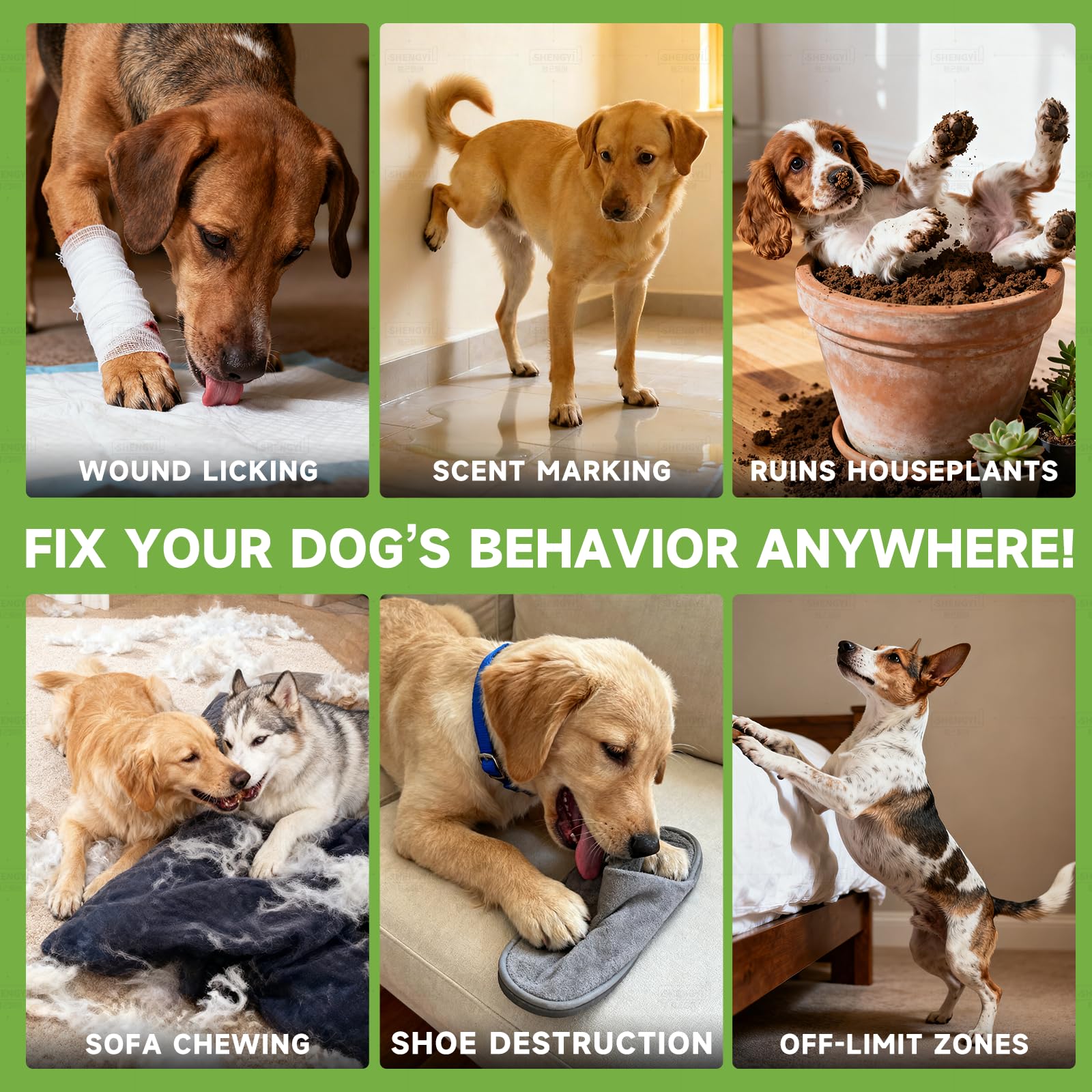 BUGAZOOM Dog No Chew Spray for indoor and outdoor surface deterrence.
