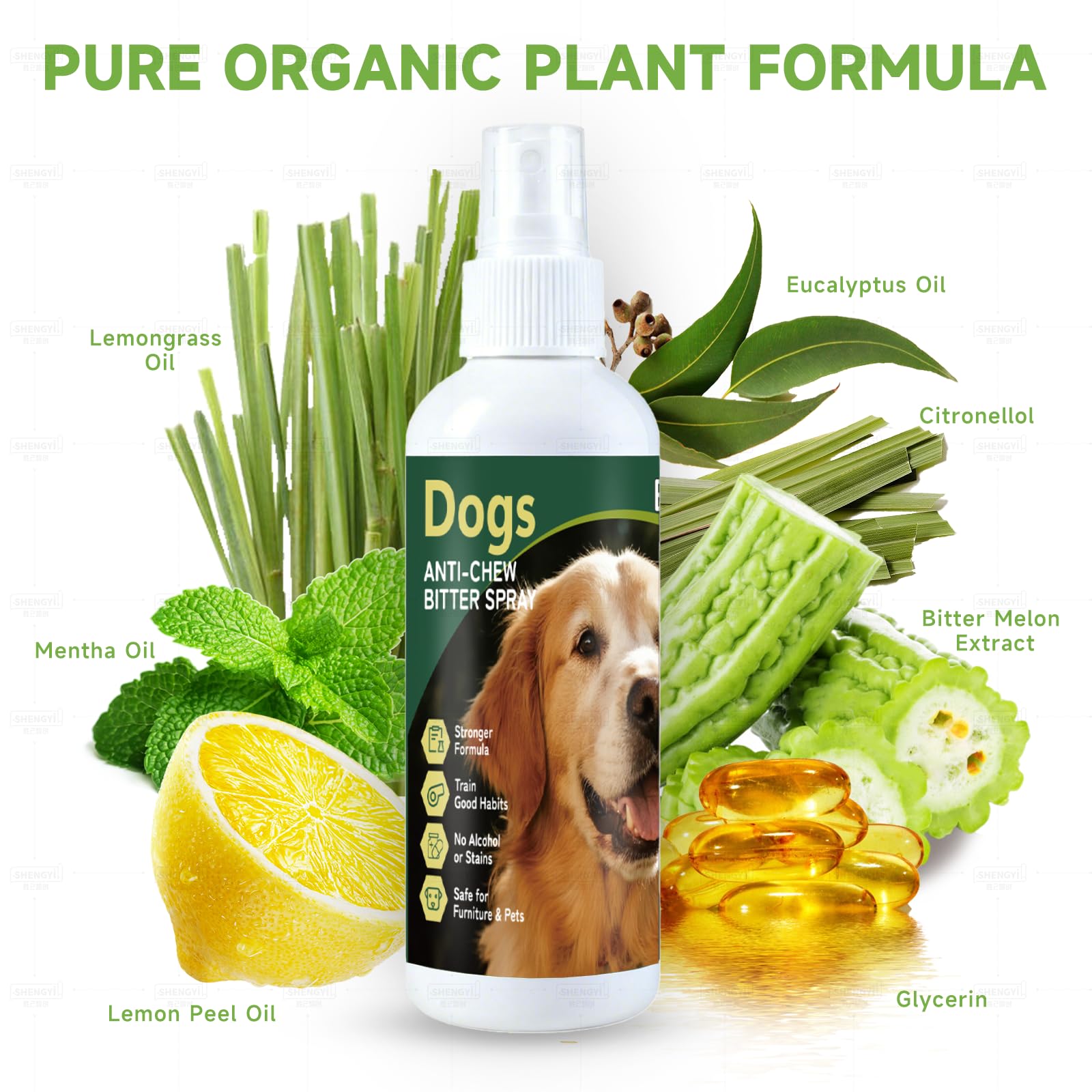 BUGAZOOM Dog No Chew Spray puppy training scene highlighting behavior correction support.