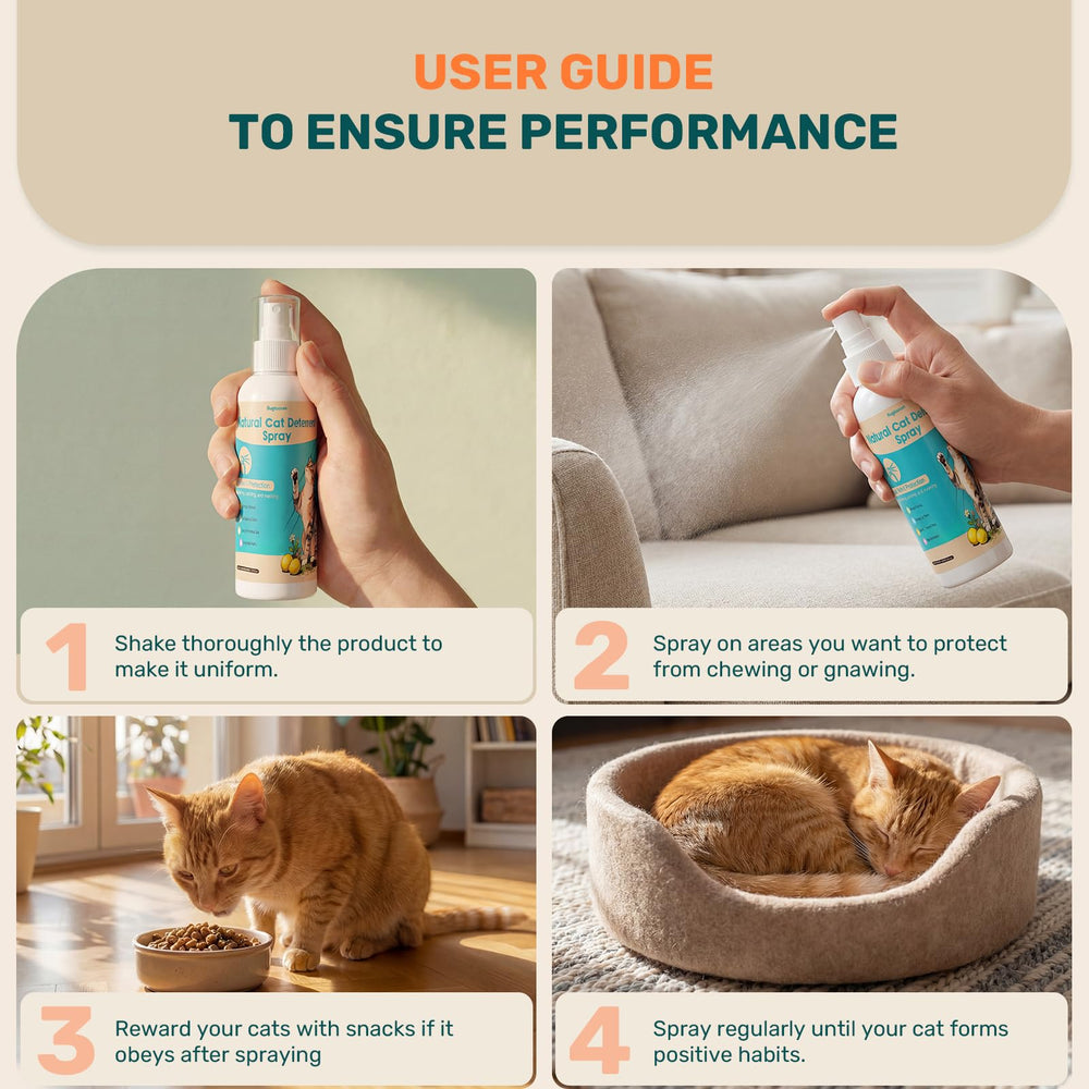 Bugazoom kitten training spray supports gentle behavior modification.