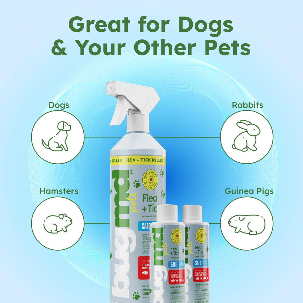 Laundry addition: BugMD used with pet blankets and linens