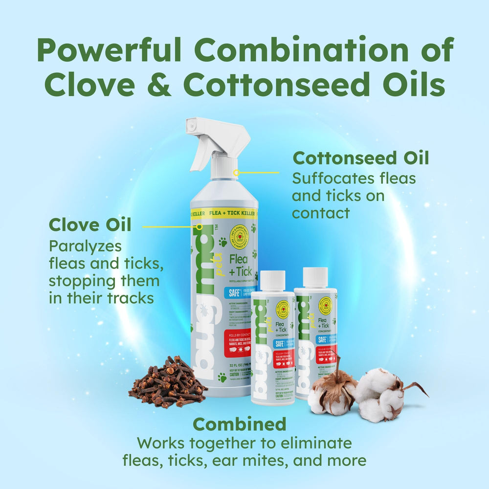 Dilution with water and BugMD concentrate for extended spray