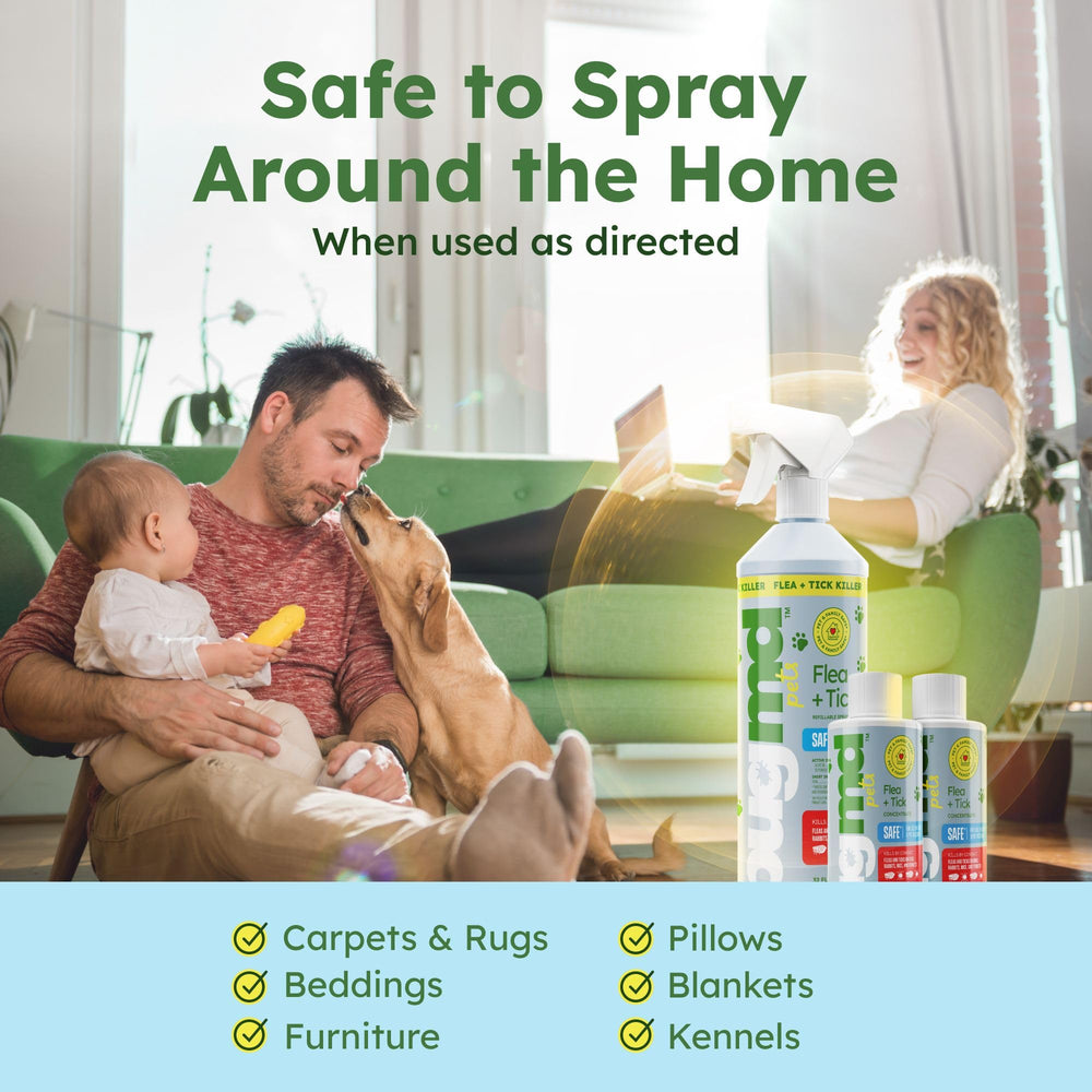Reusable spray bottle ready for BugMD concentrate refills