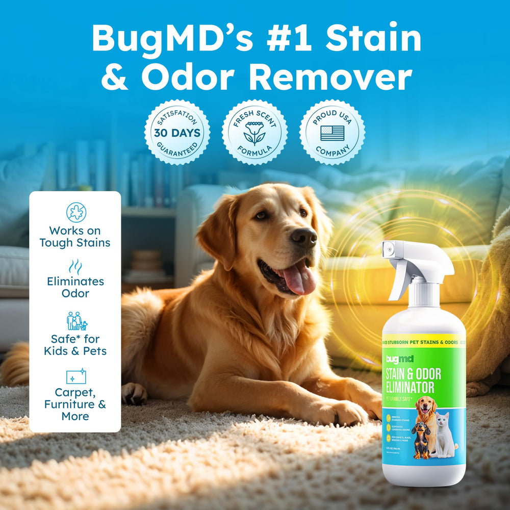 BugMD cleaner safe on carpet, hardwood, furniture, and kennels.