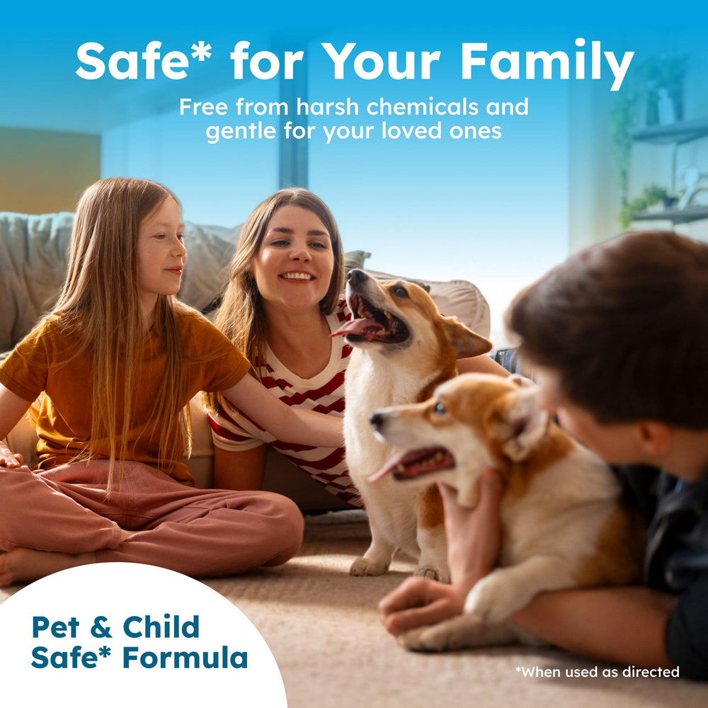 BugMD Enzyme Cleaner removes set-in urine stains from carpet.