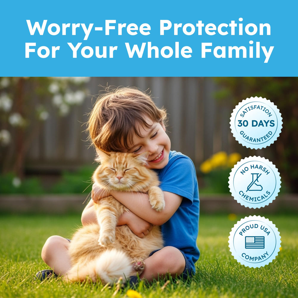 BugMD flea spray on carpet edges and cat trees for hidden pests.