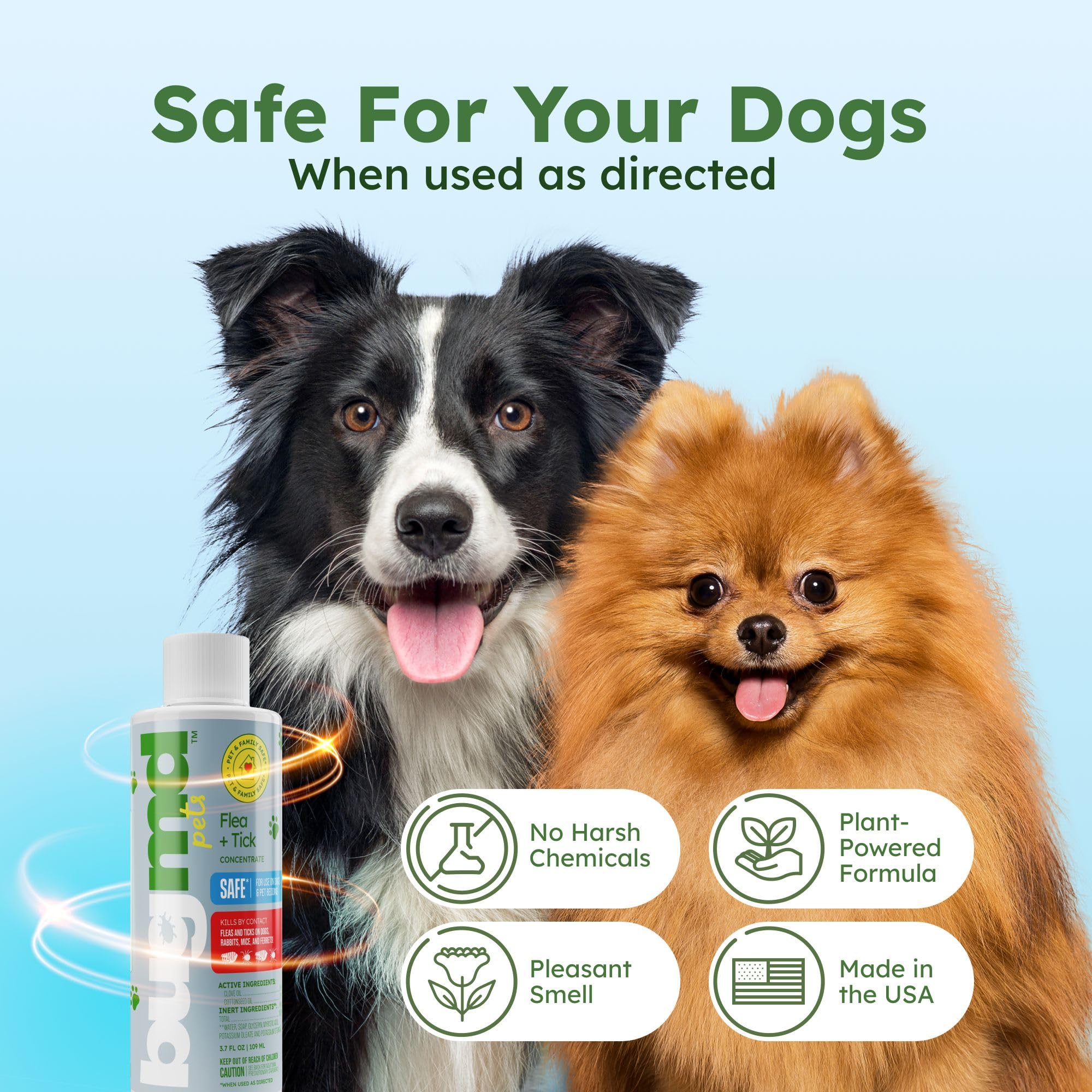 BugMD spray on kennel and play area surfaces