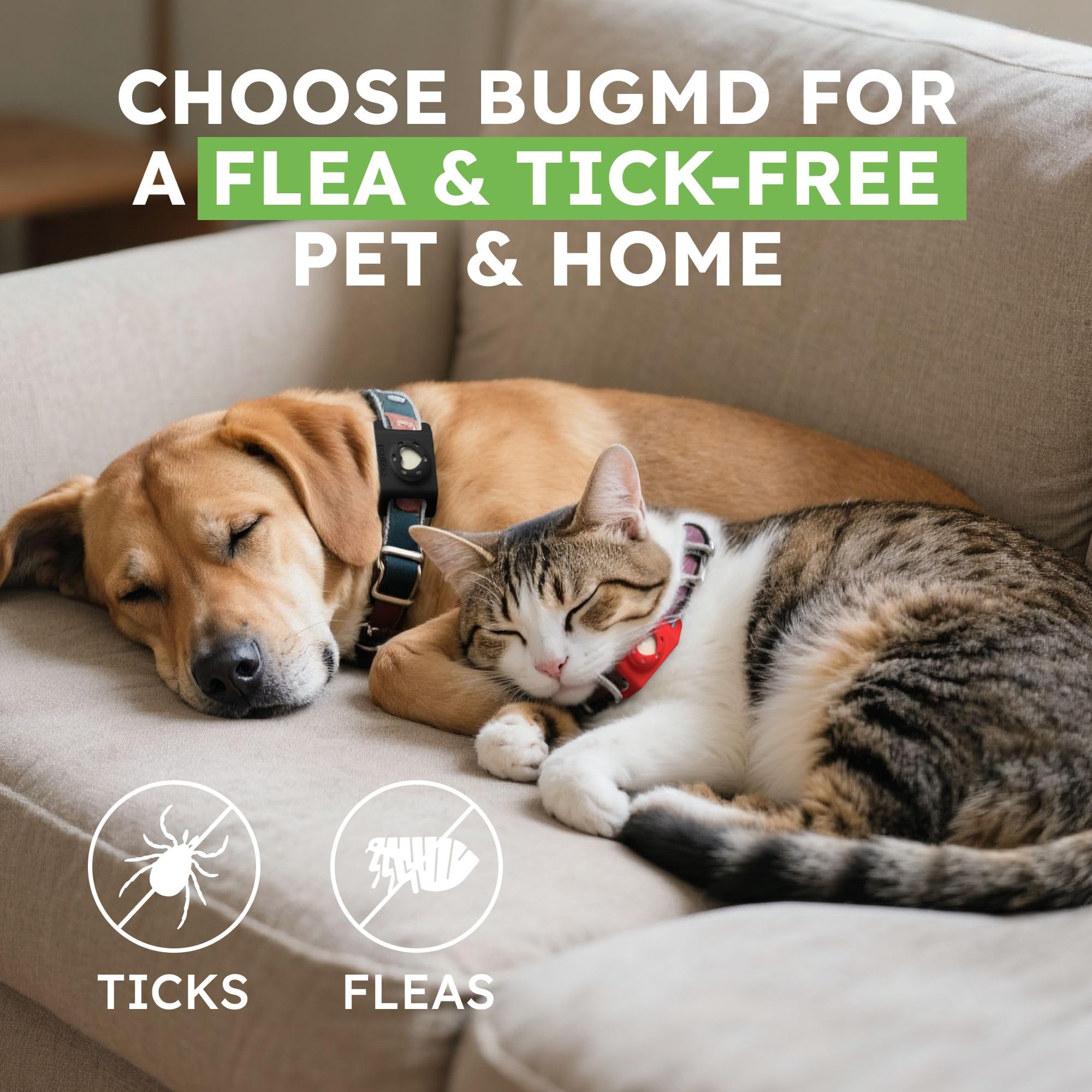 Lightweight BugMD Paw Guardian pendant designed for all day comfort