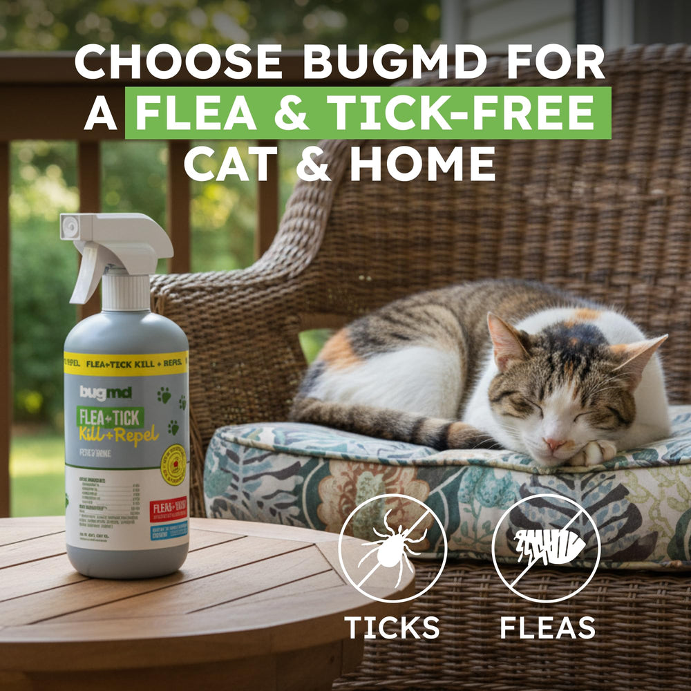BugMD plant-based formula features cedarwood and lemongrass for natural prevention.