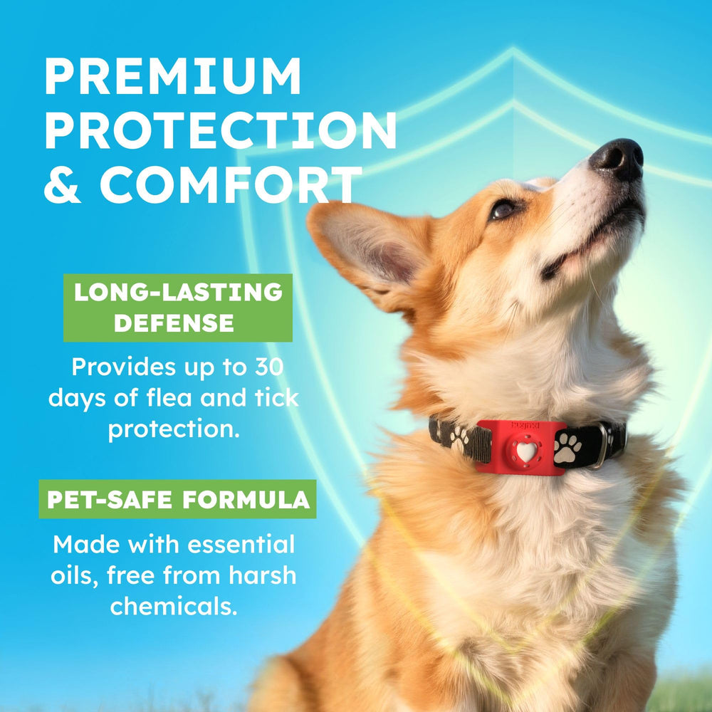 Close up of plant powered protection ingredients used in BugMD formula