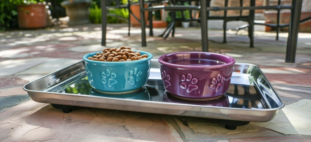 BugSnub no-liquid moat design avoids spills and mess