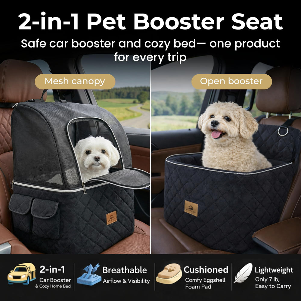Builtora eggshell padding cushions small to medium dogs.