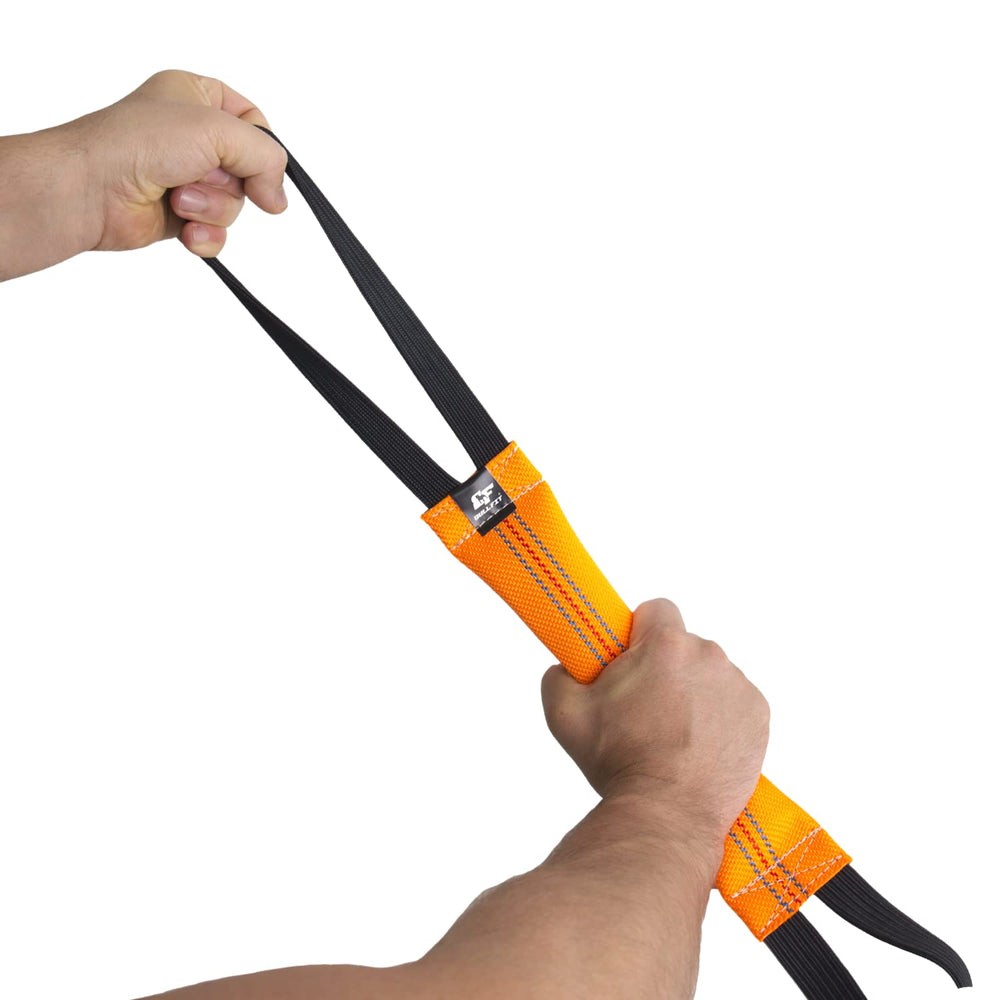 Bull Fit fetch training use demonstrates versatility and bonding