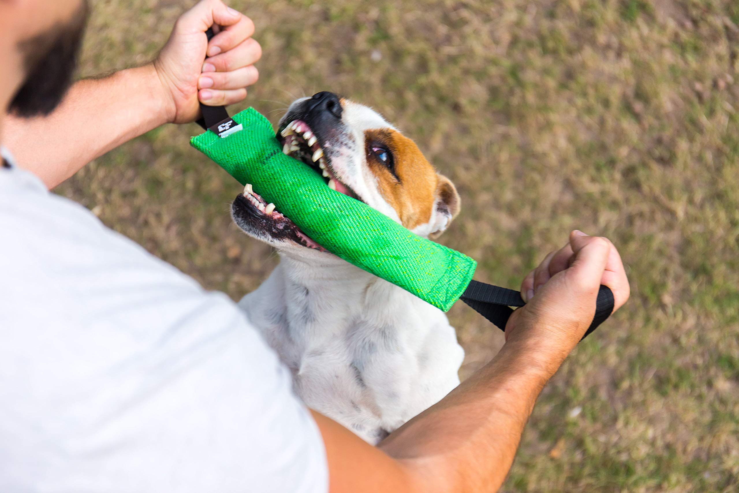 Bull Fit K9 Tug Toy in green, easy to clean and ready for play.