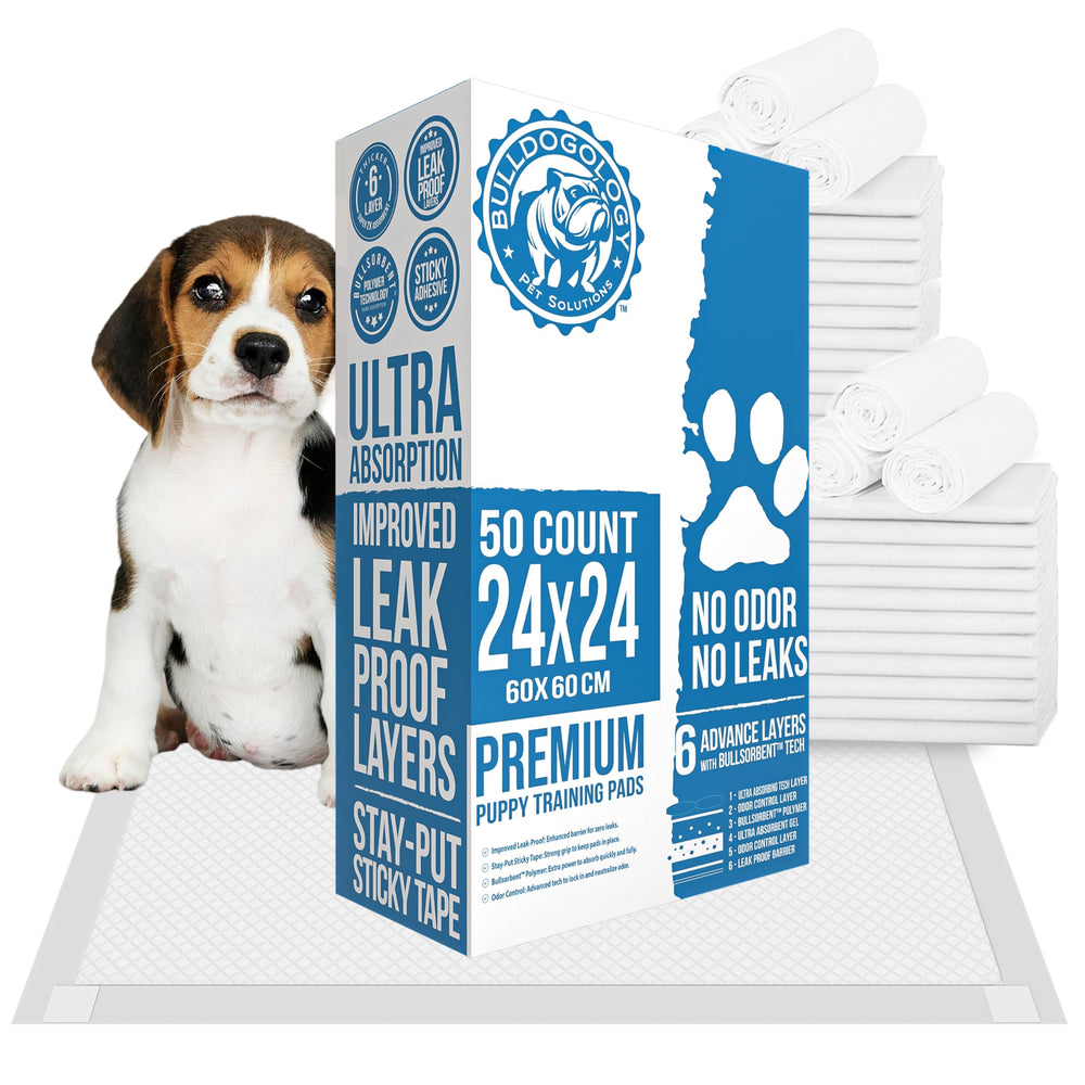 Bulldogology 50-count puppy pads pack shot for large 24x24 surface.