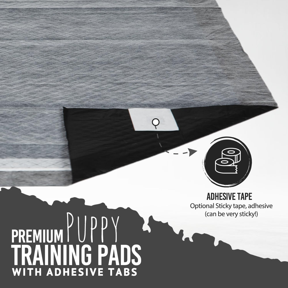 Bulldogology 6-layer design delivers reliable absorption and dryness.
