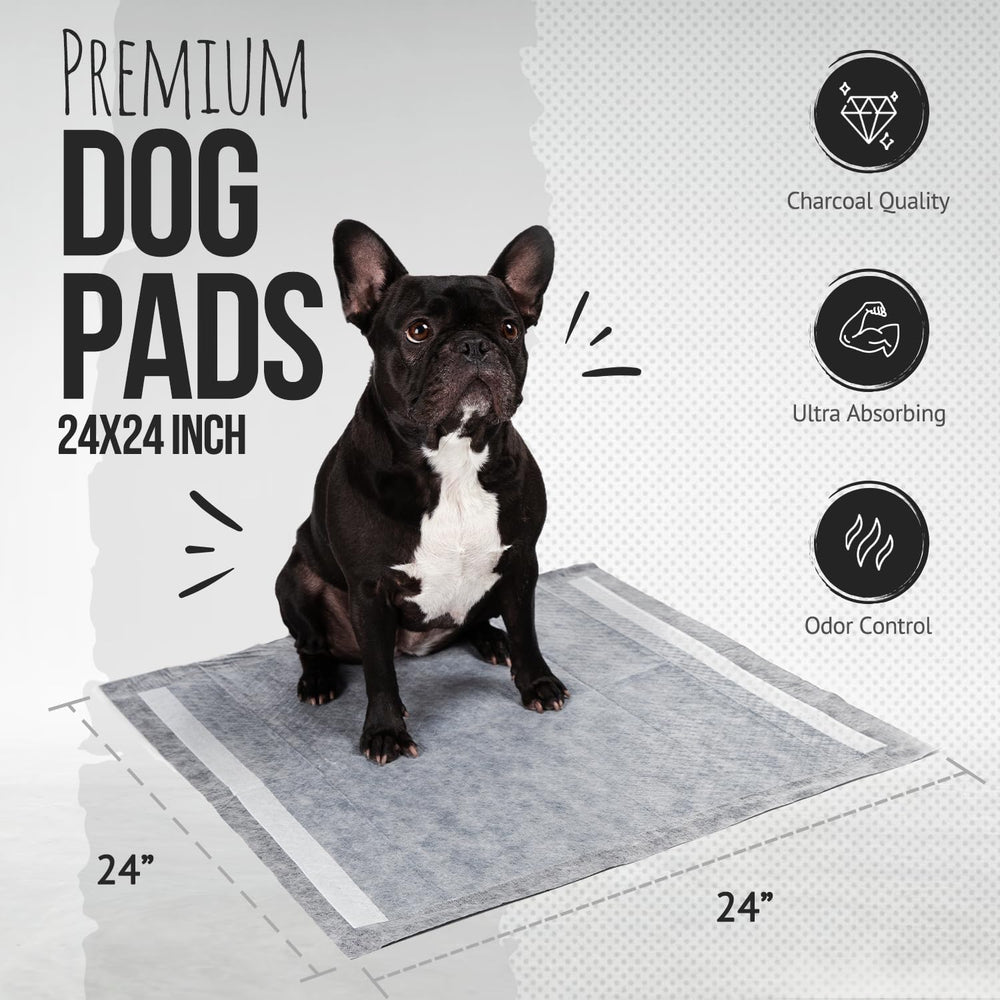 Bulldogology adhesive sticky tape pad keeps pads in place during training.