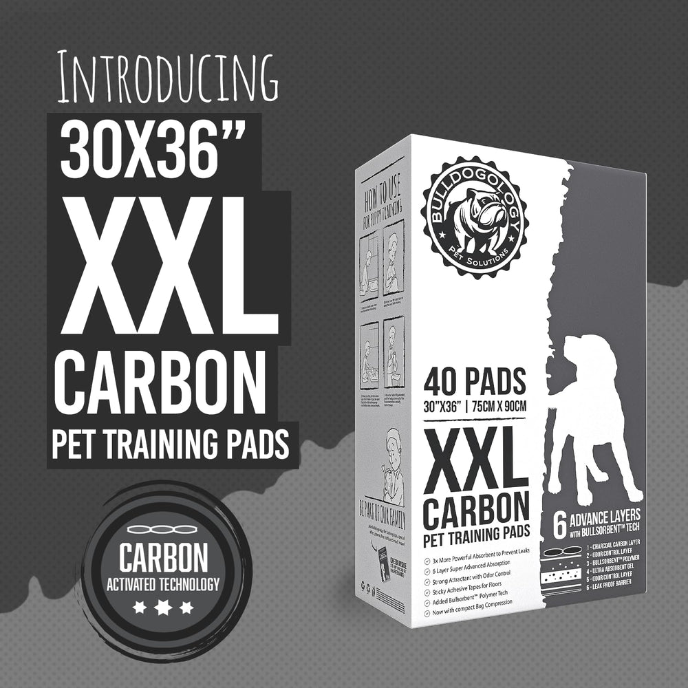 Bulldogology pee pad with adhesive tabs prevents shifting on floors.