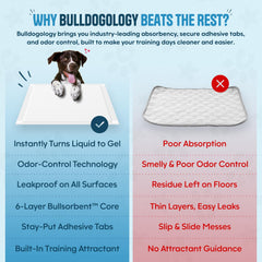 Bulldogology adhesive tabs demonstrate pad stability on floors.