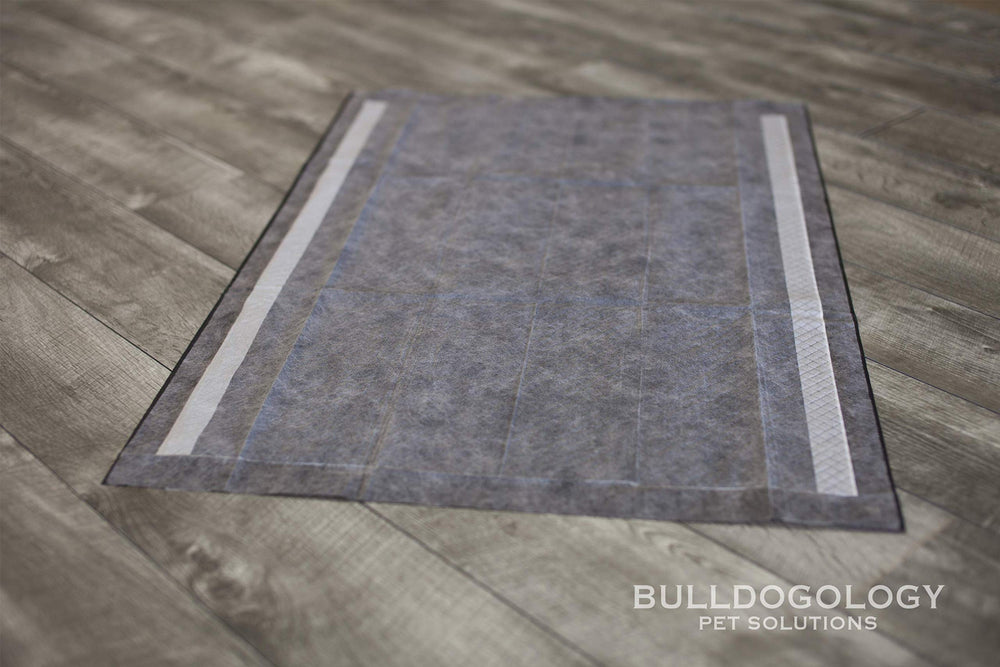 Bulldoglogy Carbon Black 60-count pack presented for ongoing training.