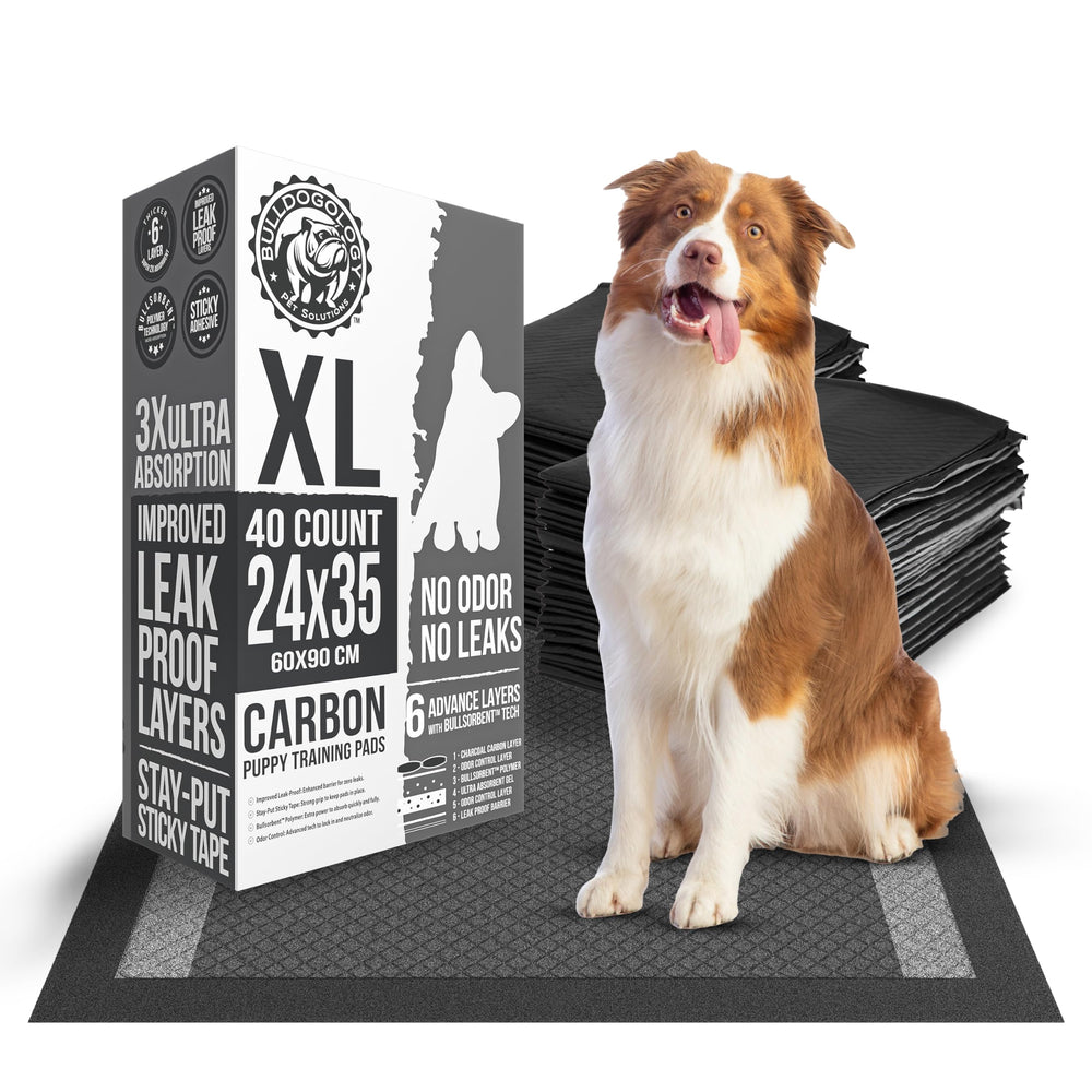 Bulldogology carbon black XL pee pad hero keeps floors dry with fast absorption.