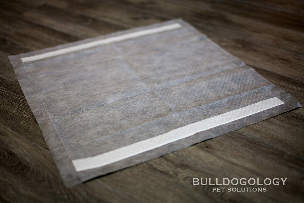 Bulldogology charcoal pads support training routines for puppies and dogs.