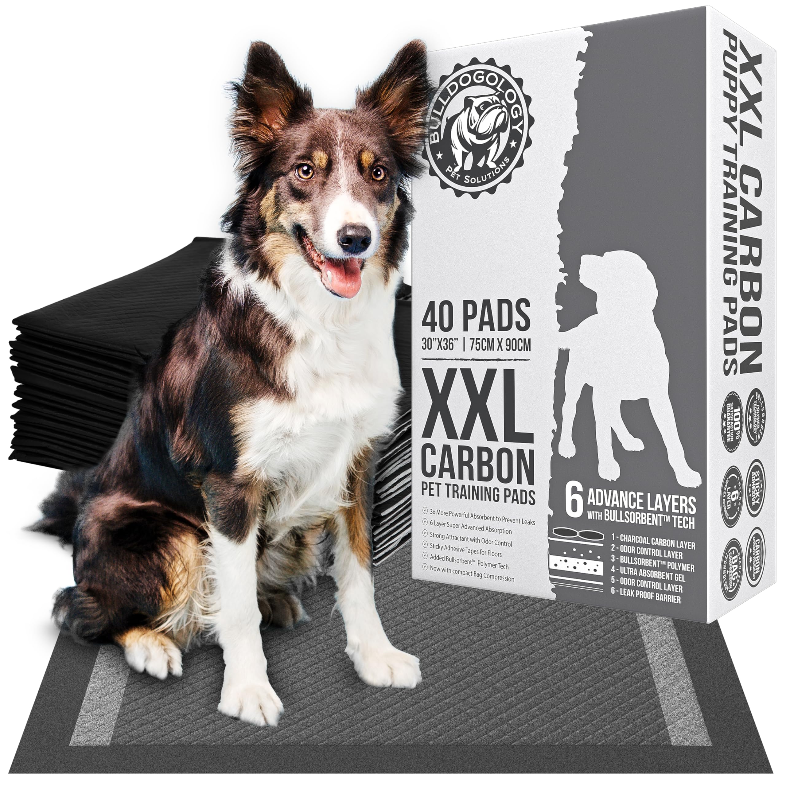 Bulldogology charcoal XXL pee pad 30x36 with secure adhesive tabs.