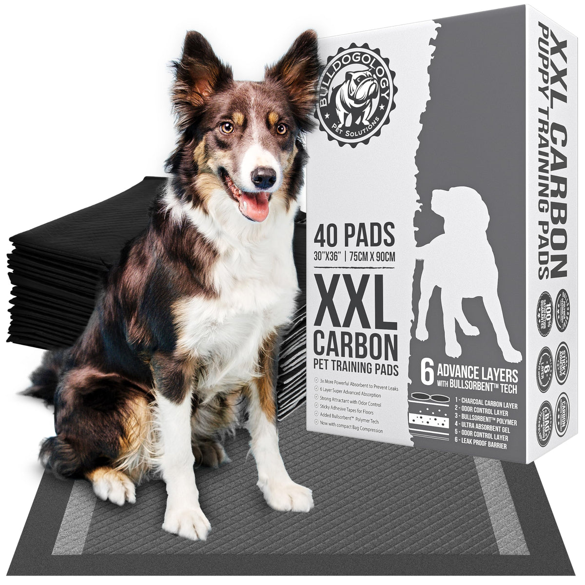 Bulldogology charcoal XXL pee pad 30x36 with secure adhesive tabs.