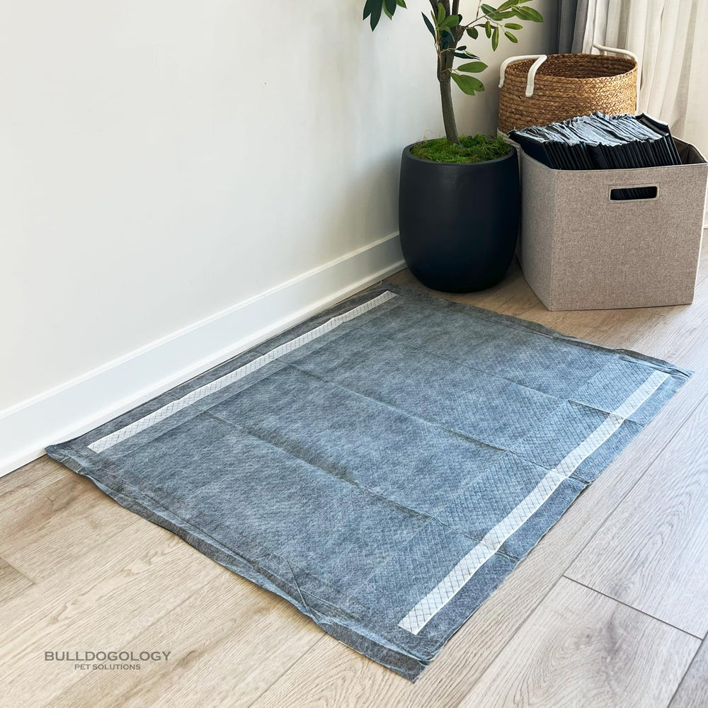 Bulldogology floor-friendly design works on floors, tiles, and carpets.