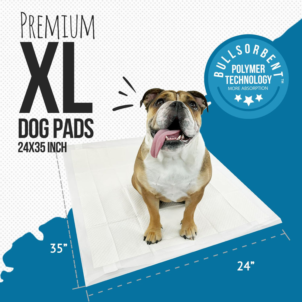 Bulldogology six-layer absorbent design for quick moisture containment.