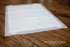Bulldogology Bullsorbent tech gels liquids to keep floors dry.