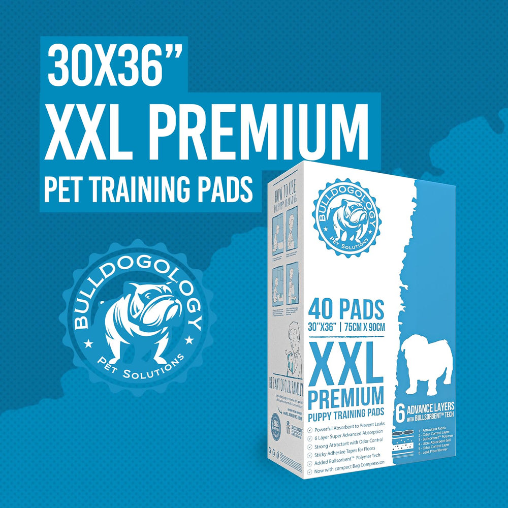 Bulldogology leak-proof pads protect carpets and tiles from accidents.