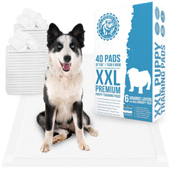 Bulldogology XXL puppy pads with absorption technology keep floors dry and clean.