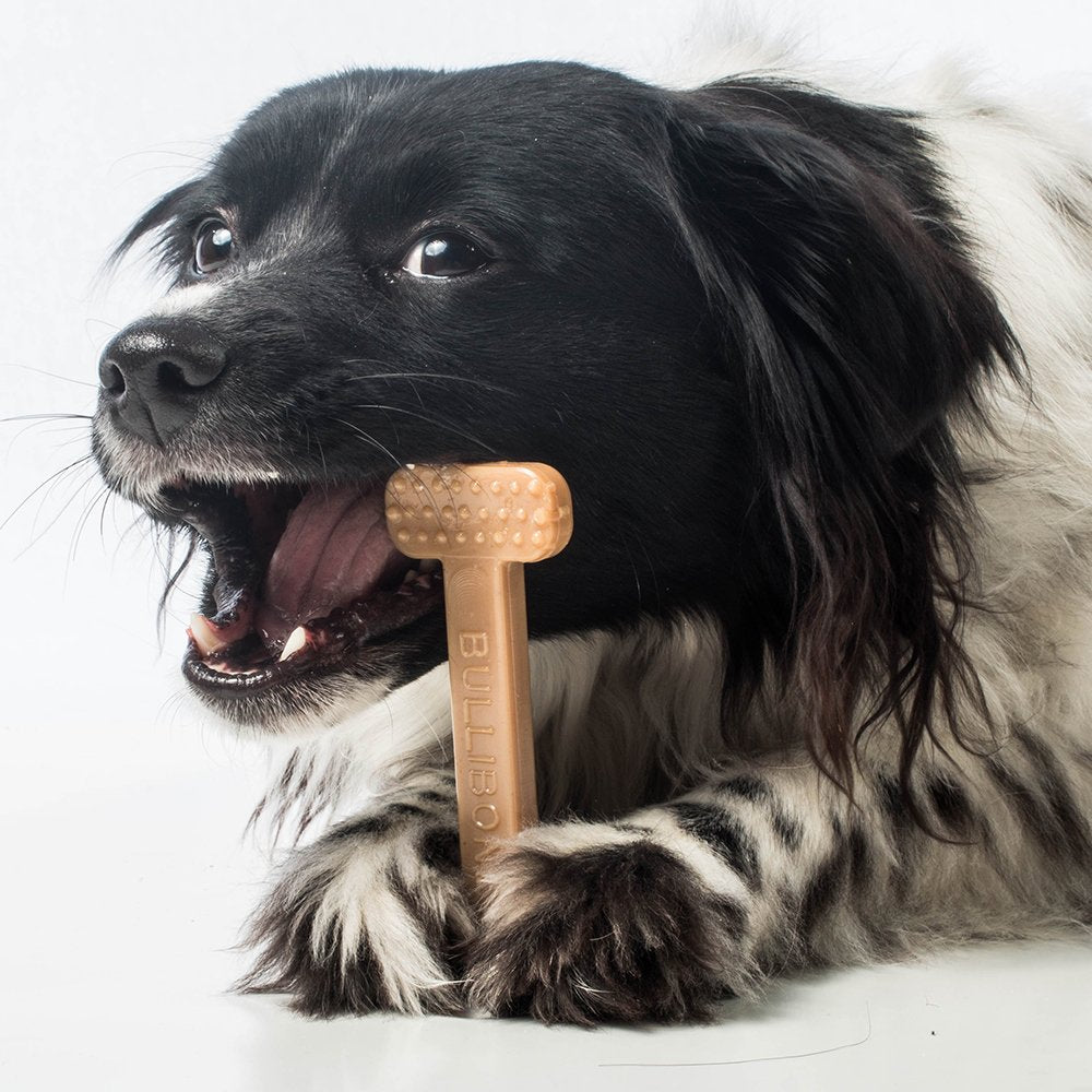 Bullibone dog chew with bacon flavor permeated through the bone for long-lasting taste.
