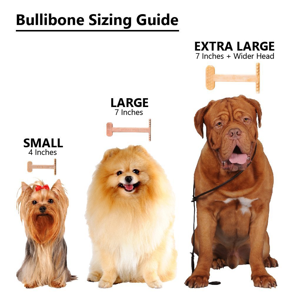 Bullibone heavy-duty nylon construction; resists powerful chomps for longevity.