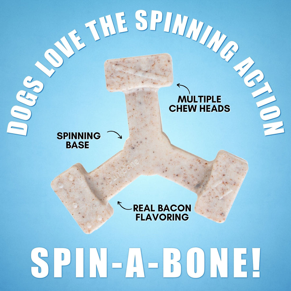 Non-edible Bullibone chew supports safe chewing during interactive fun.