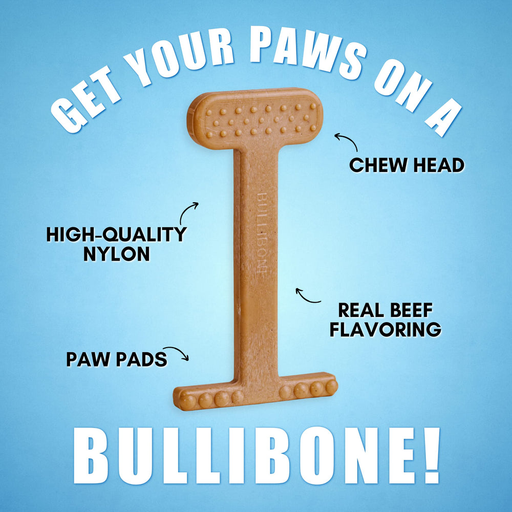 Bullibone nylon bone with beef flavor appealing to picky chewers during play.