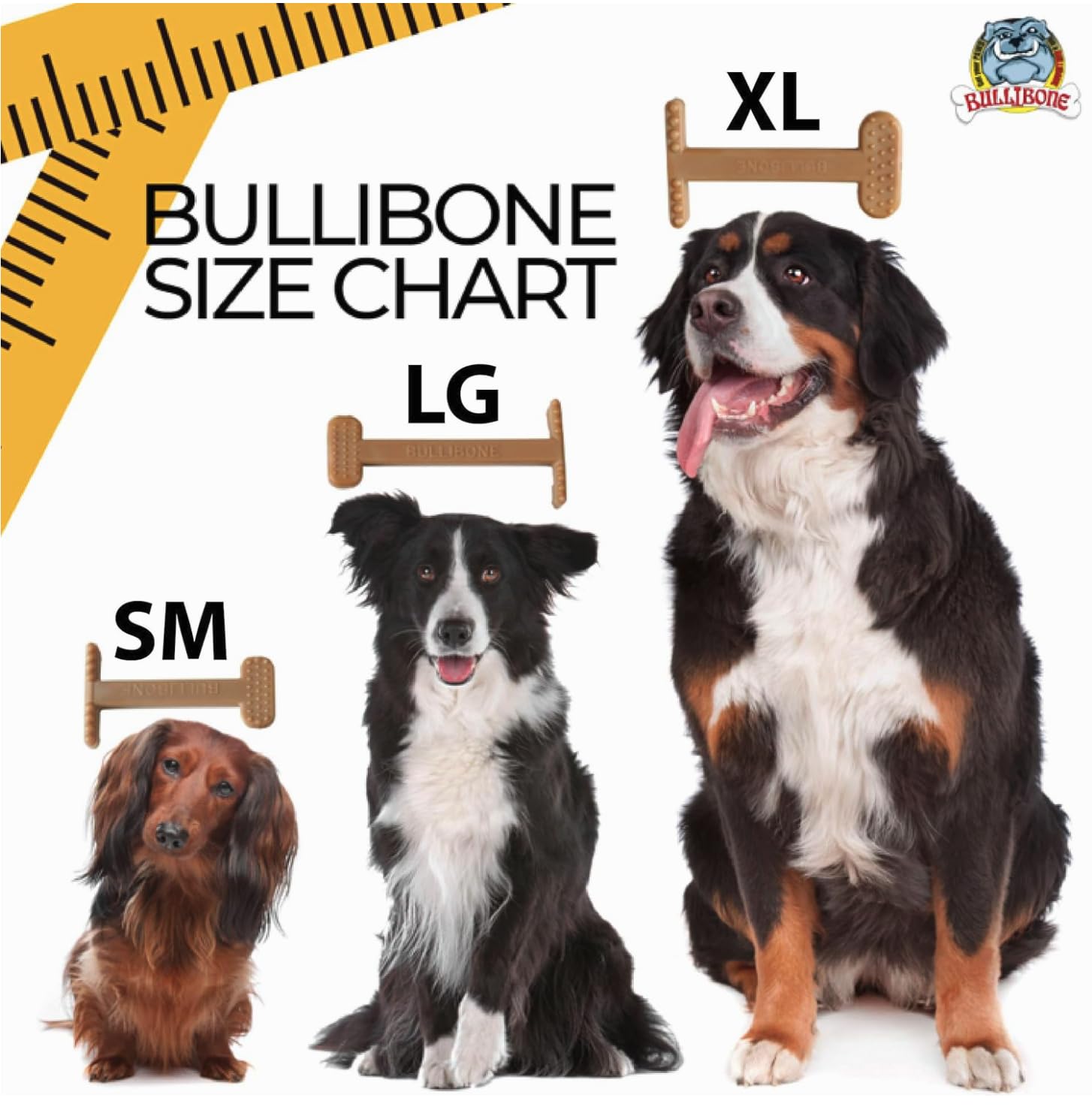 Bullibone nylon dog chew toy two pack display for added value