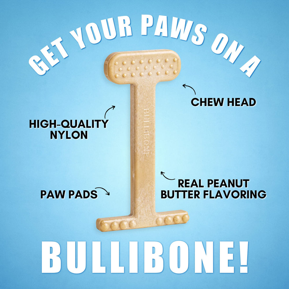 Bullibone peanut butter flavor infused bone for extended chewing sessions