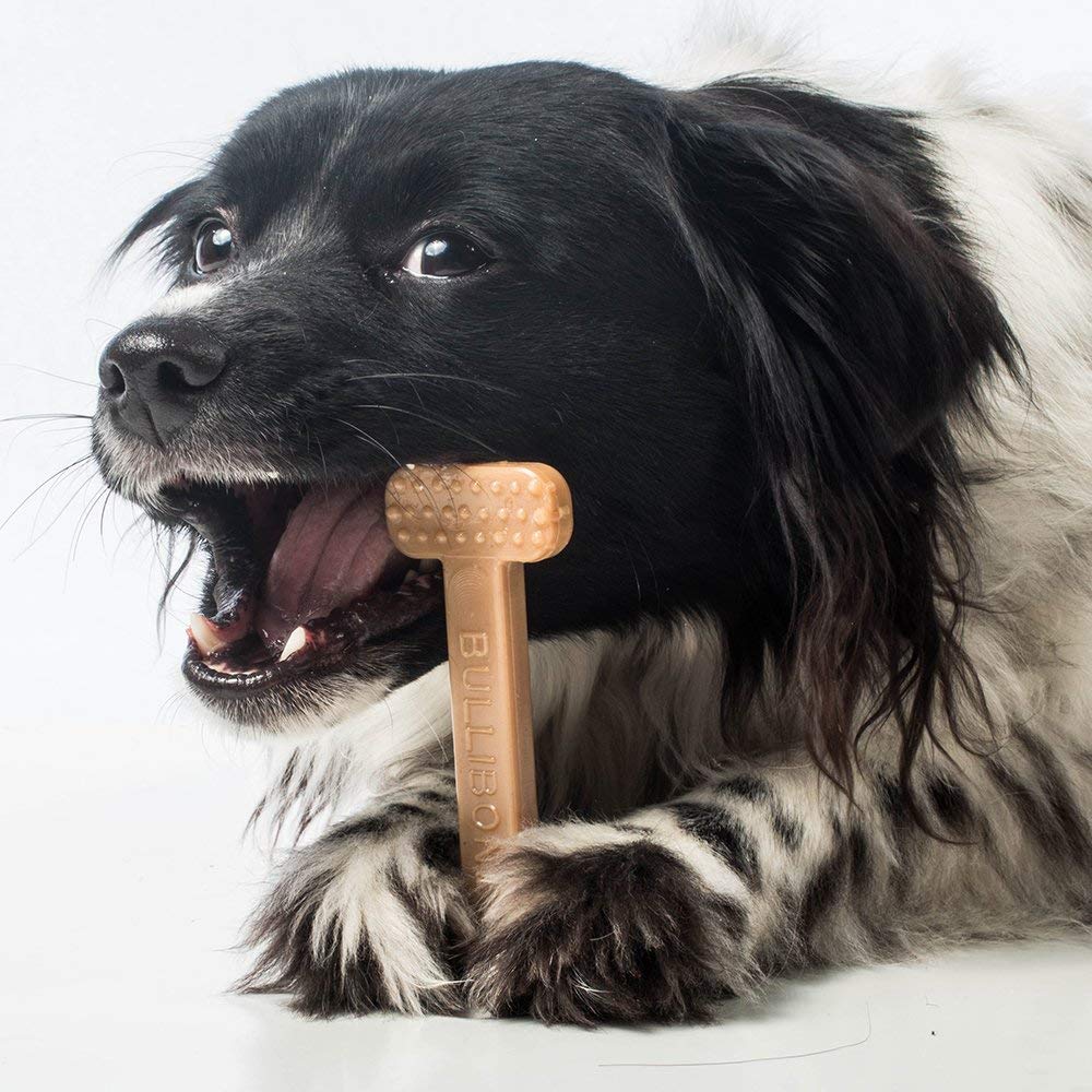 Bullibone safe alternative to rawhide for tough chewers