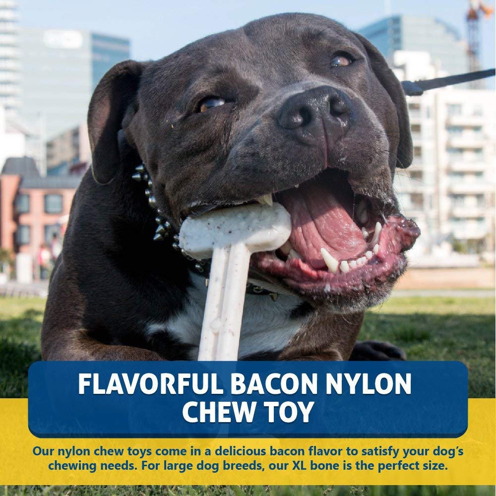 Bullibone textured surface promotes dental hygiene while dogs chew.
