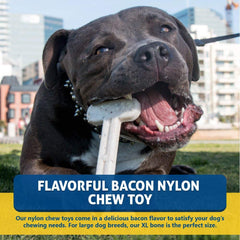 Bullibone textured surface promotes dental hygiene while dogs chew.