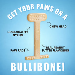 Bullibone textured surface close-up suggests dental-stimulation benefits during chewing.